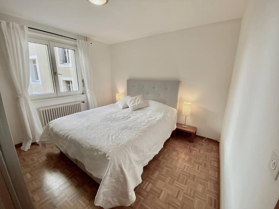 Comfortable, Very Well Located Between Train Station And Lake! Lausanne Buitenkant foto
